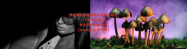 ГАЛЛЮЦИНОГЕННЫЕ ГРИБЫ Алексеевка