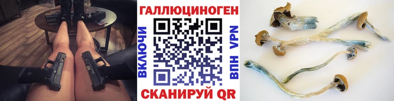 что такое наркотик  Тулун  Псилоцибиновые грибы GOLDEN TEACHER 